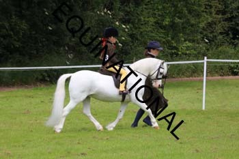 RUN-1528