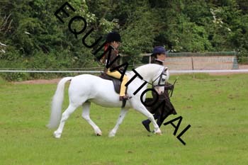 RUN-1529