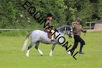 RUN-1531