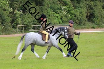 RUN-1532