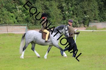 RUN-1533