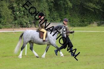 RUN-1534