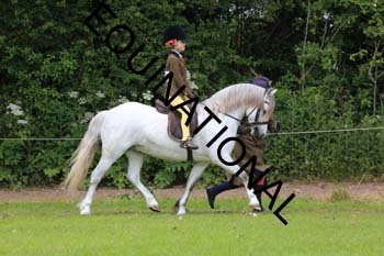 RUN-1536
