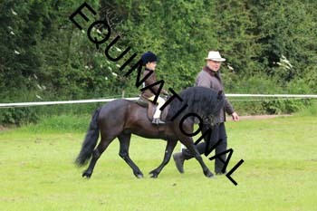 RUN-1548
