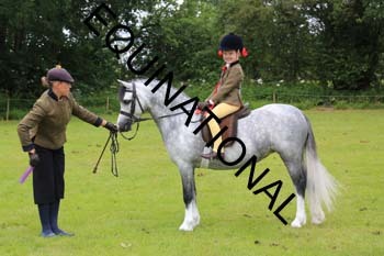 RUN-1656