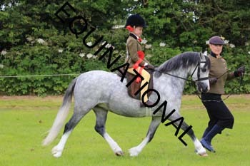 RUN-1664