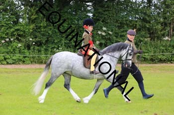 RUN-1665