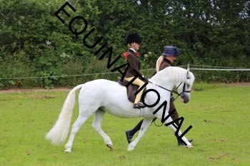 RUN-1669