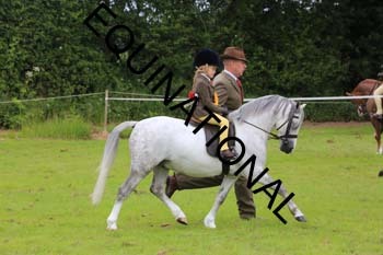 RUN-1671