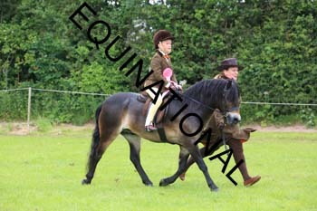 RUN-1675