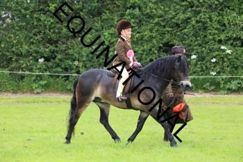 RUN-1676