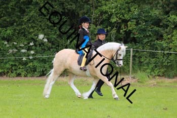 RUN-1681