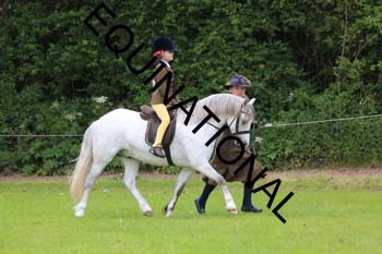 RUN-1682
