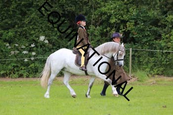 RUN-1683
