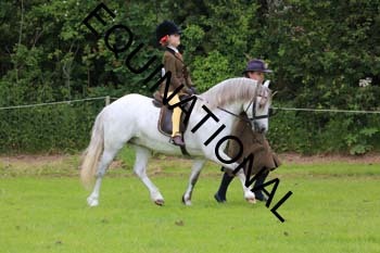 RUN-1684