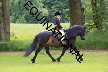 RUN-1687