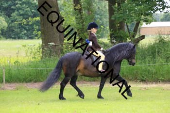 RUN-1688