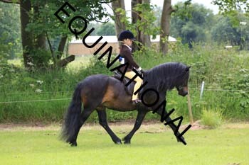 RUN-1689
