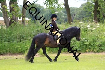 RUN-1690