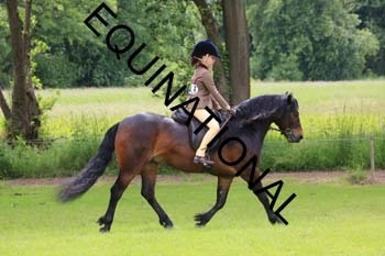 RUN-1691
