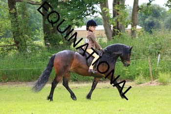 RUN-1694