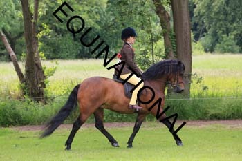 RUN-1695