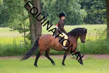 RUN-1696