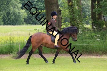 RUN-1697