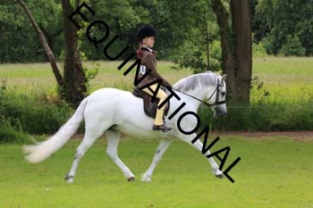 RUN-1699