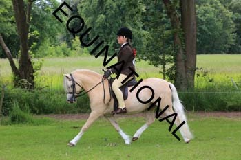RUN-1801