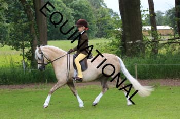 RUN-1803