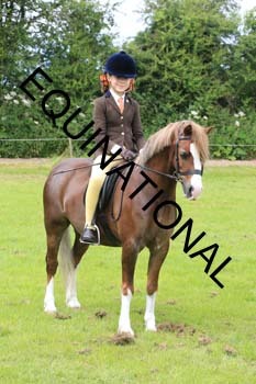 RUN-1810