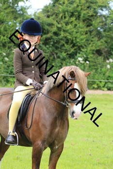 RUN-1812