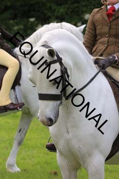 RUN-1818