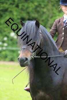 RUN-1837