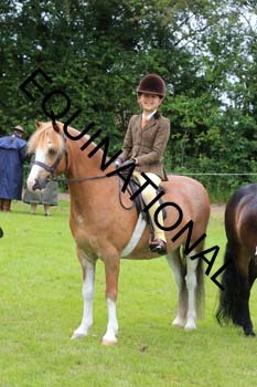 RUN-1854