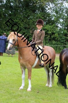 RUN-1855