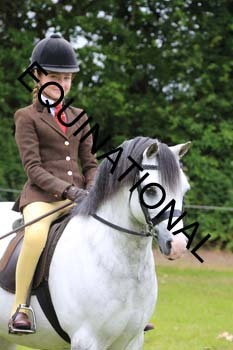 RUN-1869