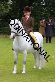 RUN-1875