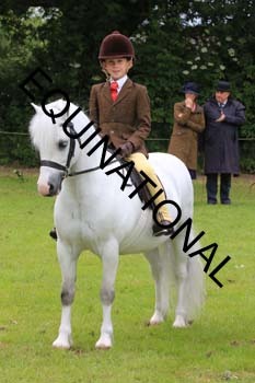 RUN-1876