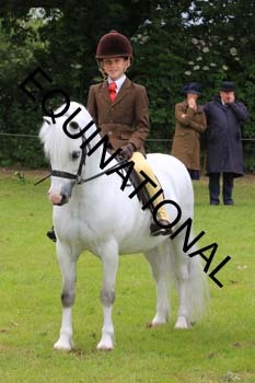 RUN-1877