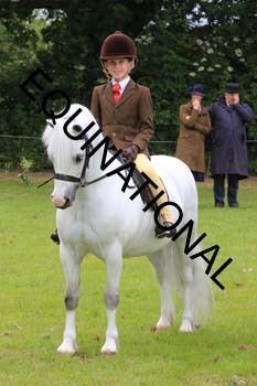 RUN-1878