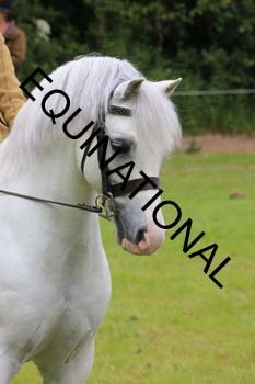 RUN-1889