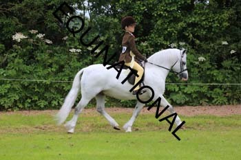 RUN-1948