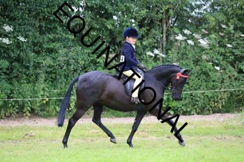 RUN-2005