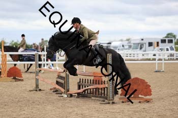 ALF-1420