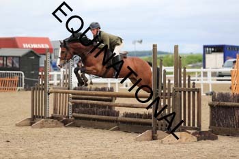 ALF-1479