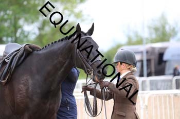 BEN-1671 BEN-1671