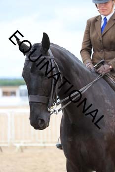 BEN-1674 BEN-1674