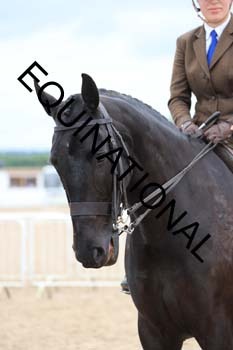 BEN-1675 BEN-1675